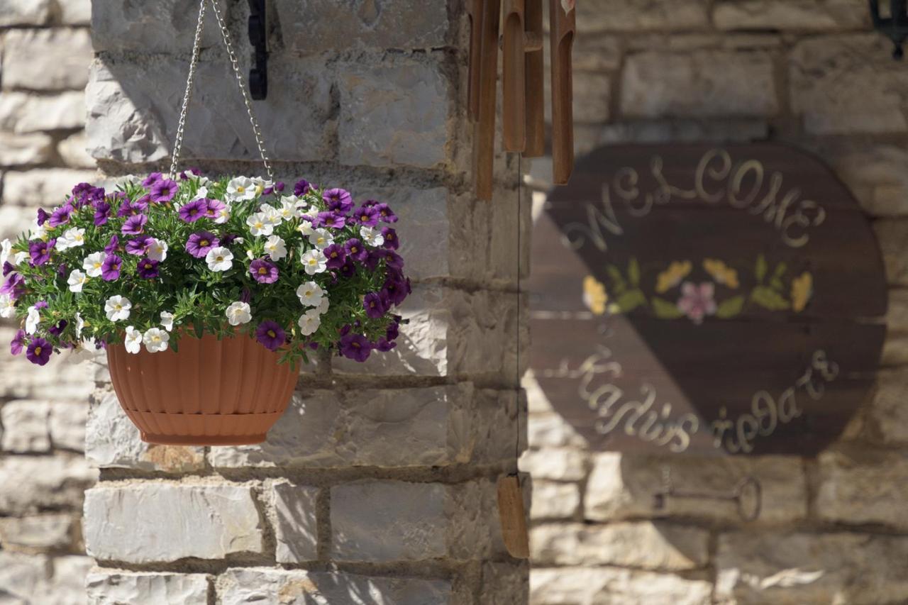 Hotel Ameliko Zagori Áno Pediná Exterior foto