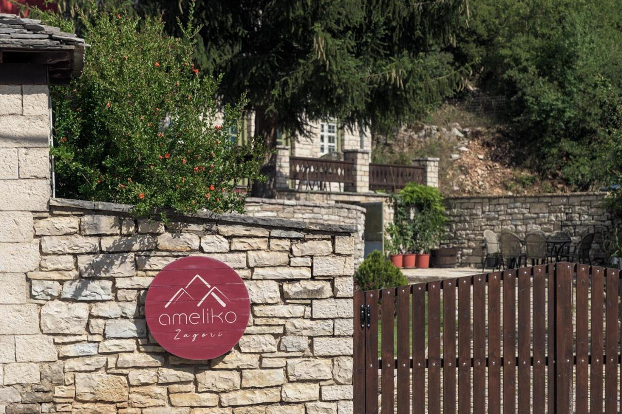 Hotel Ameliko Zagori Áno Pediná Exterior foto